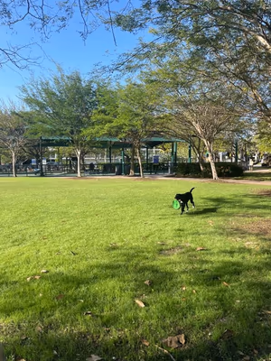 Flamingo Bark Park photo 2